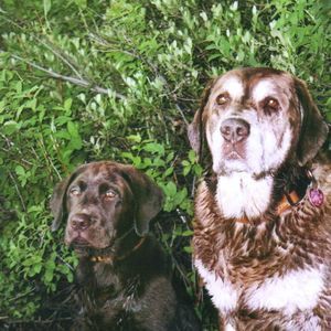 Meet your Posher, Annette